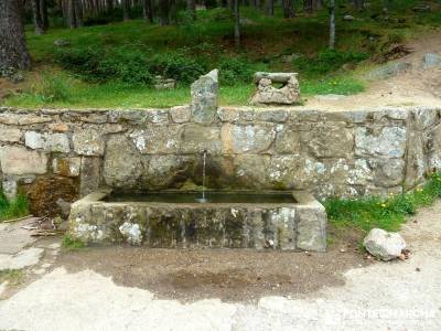 Cerro Perdiguera-Sierra Morcuera-Canencia; salidas por madrid; viajes de un dia desde madrid